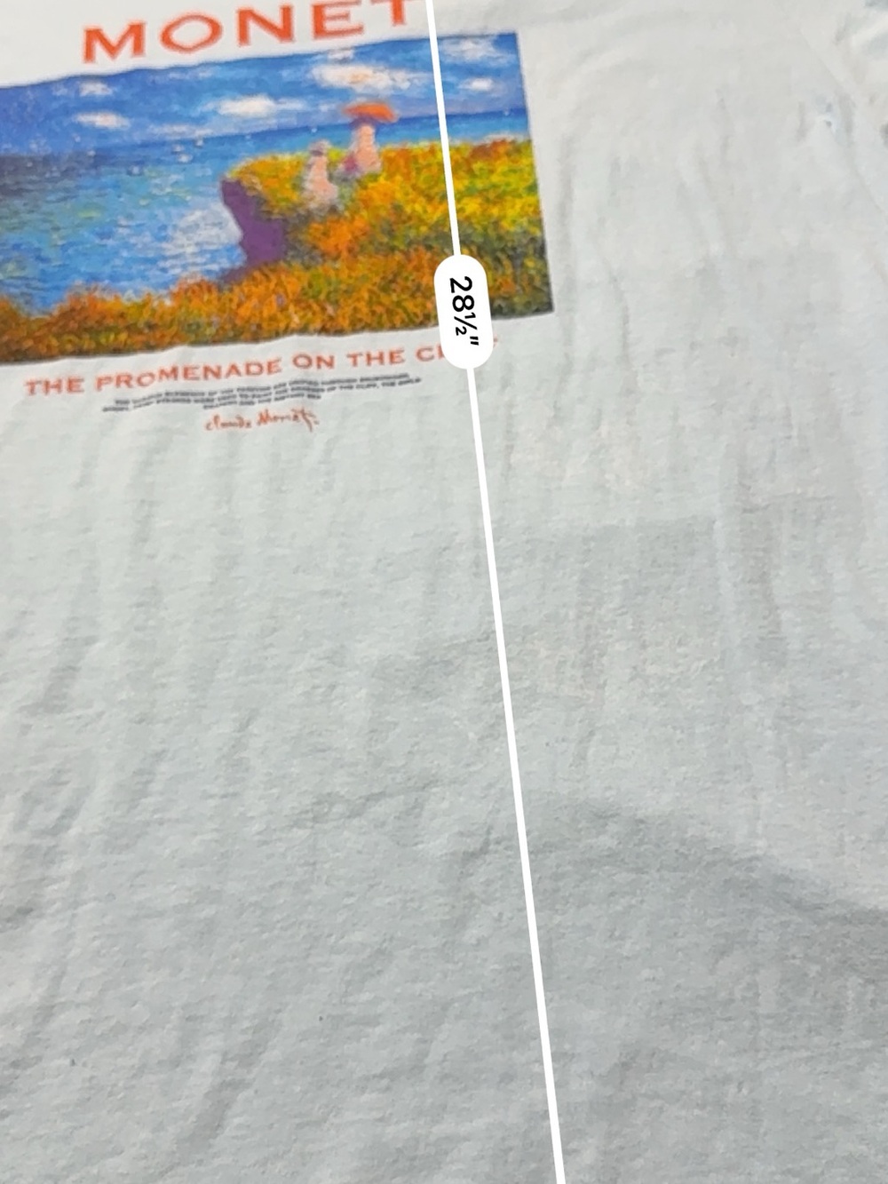 Bowery Supply Co XL Monet Promenade on the Cliff Graphic Tee NWT - Picture 5 of 7